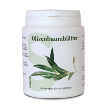 Olivenbaumblätter