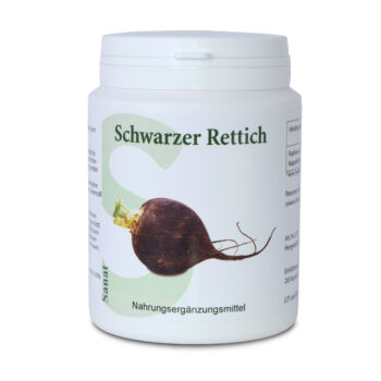 Rettich - schwarzer Rettich