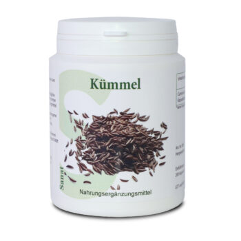 Kümmel