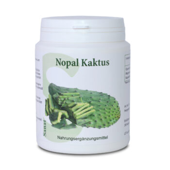 Nopal