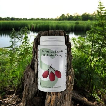 Berberitzen Extrakt - Berberin 500mg